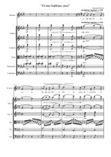 Giacomo Puccini 'O mio babbino caro' for soprano and string orchestra
