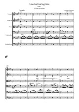 Gaetano Donizetti 'Una furtiva lagrima' for tenor and strings orchestra